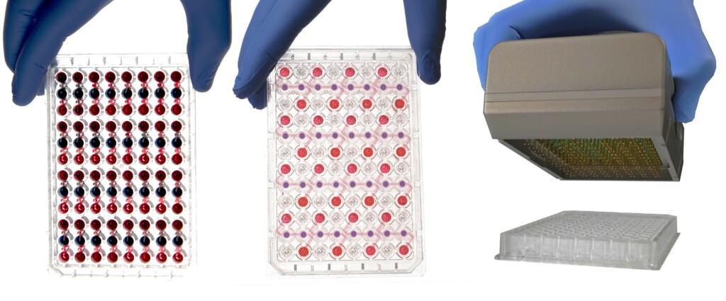 Finnadvance announces the industrialization of its AKITA organ-on-chip platform